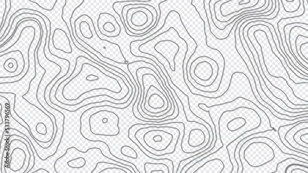 Fototapeta Gray topography contour lines map isolated on a transparent background. The concept of a conditional geography scheme and the terrain path. Vector illustration.