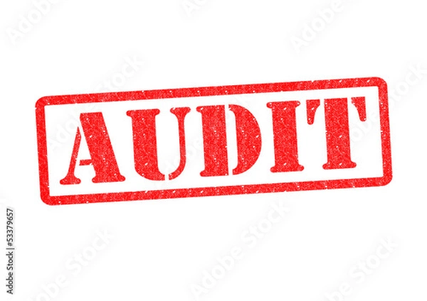 Obraz AUDIT