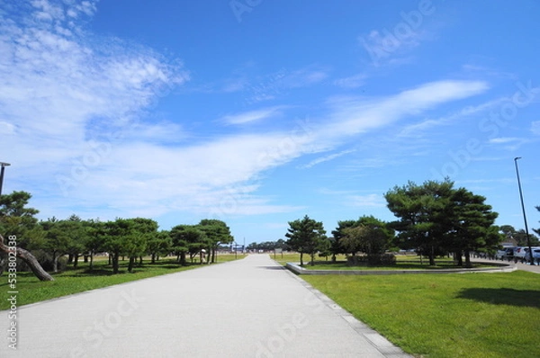 Obraz Japanese park