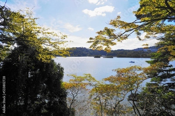 Obraz sea and trees