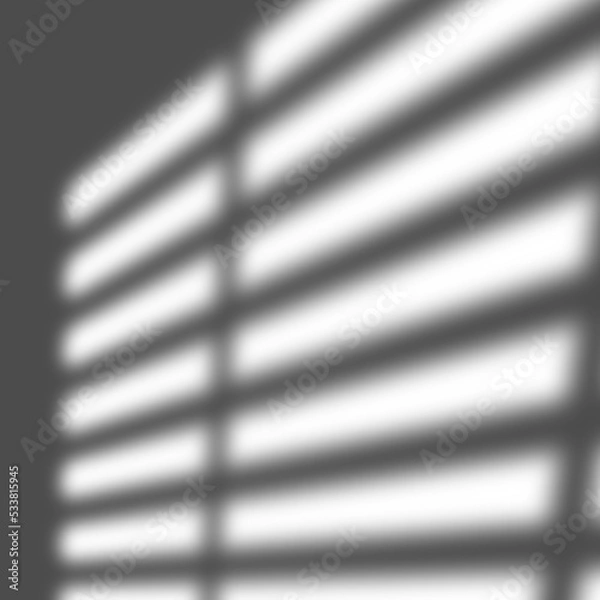 Fototapeta Transparent Window Blinds Shadow Overlay Effect Illustration