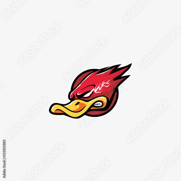 Fototapeta Flash Duck