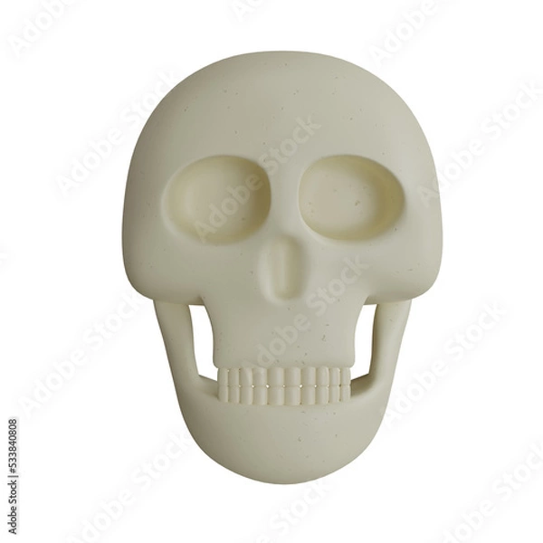 Fototapeta human skull isolated