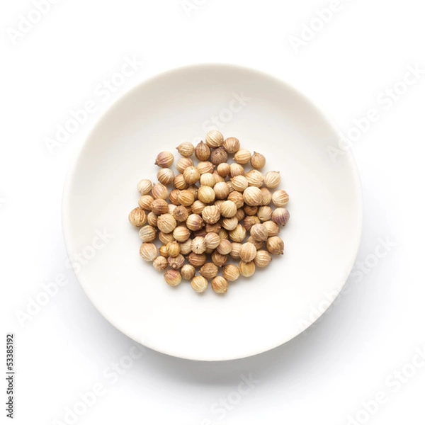 Fototapeta coriander