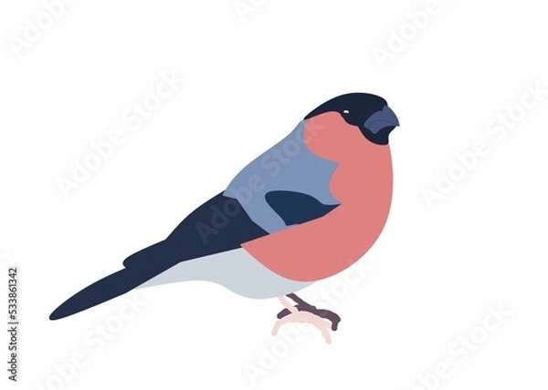 Obraz illustration of a bird