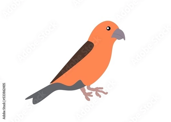 Obraz bird of paradise