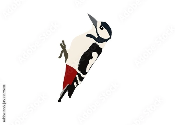 Obraz bird on a branch