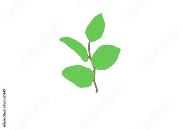 Obraz young green plant