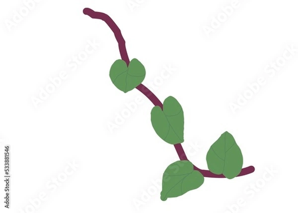 Obraz red and green plant