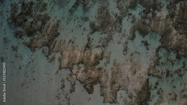 Fototapeta reef texture