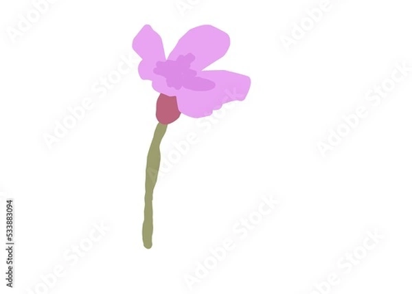 Obraz flower isolated on white background