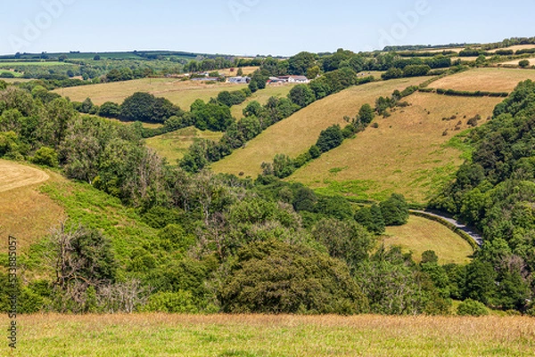 Fototapeta A view in Exmoor National Park towards South Huckham from Coppleham near Winsford, Somerset UK - Note the dead trees in the valley due to Ash Die Back
