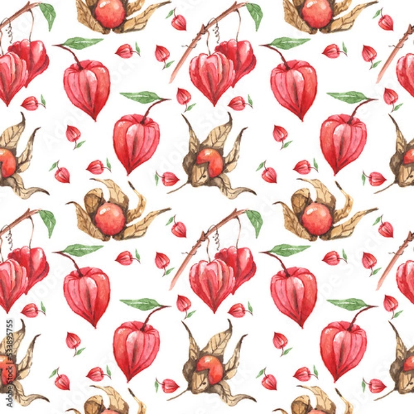 Fototapeta Seamless pattern of Physalis (Peruvian). Autumn background.
