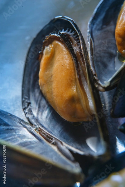 Fototapeta close up of raw open mussels