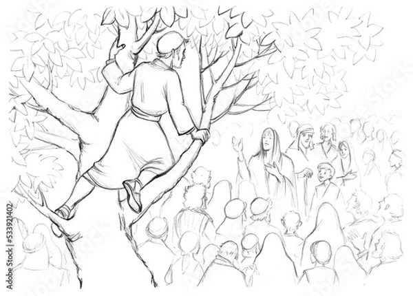 Obraz Zacchaeus. The man in the tree looks out into the crowd. Pencil drawing