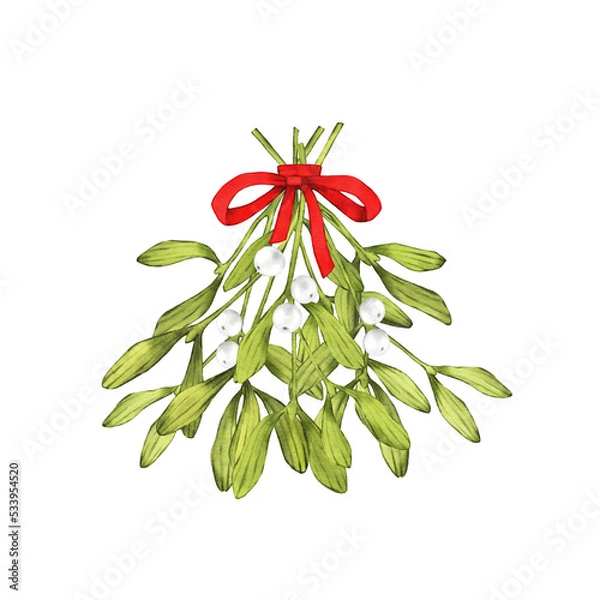 Obraz Mistletoe branch digital watercolor illustration. Kiss me under the mistletoe illustration.