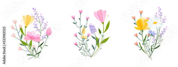 Obraz Vector floral bouquet illustration. Set of leaves, wildflowers, twigs, floral arrangements. Beautiful compositions of field grass and bright spring flowers.