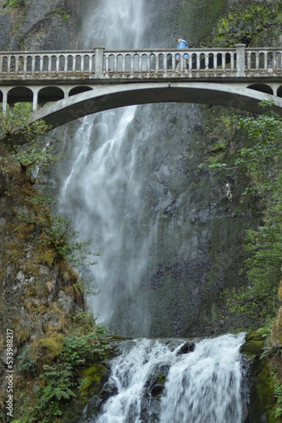 Fototapeta Multnomah Falls in the Columbia River Gorge near Portland, Oregon