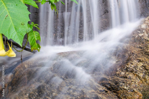 Fototapeta a small waterfall, water gently flowing in a stream, in the forest