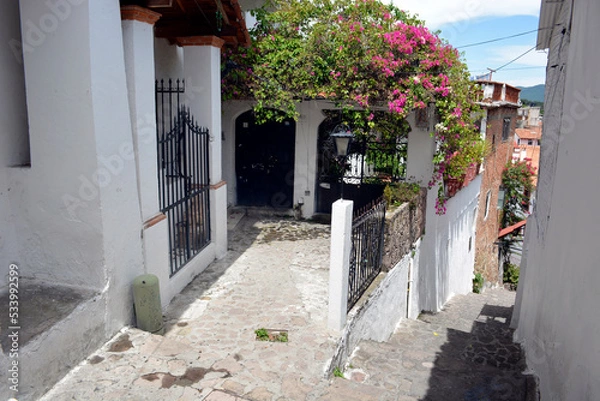 Obraz street in the town