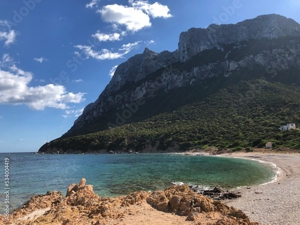 Obraz Beach Coast Island