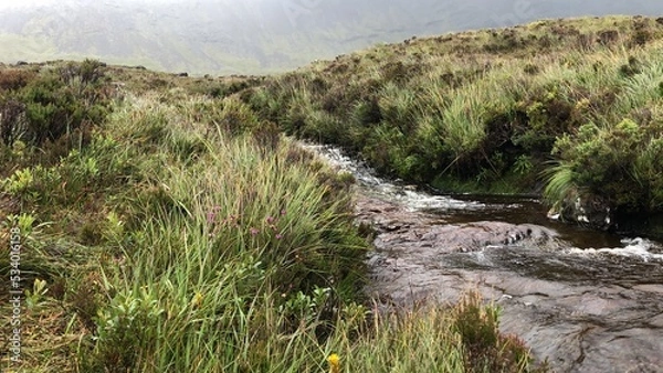 Fototapeta Stream Misty Landscape