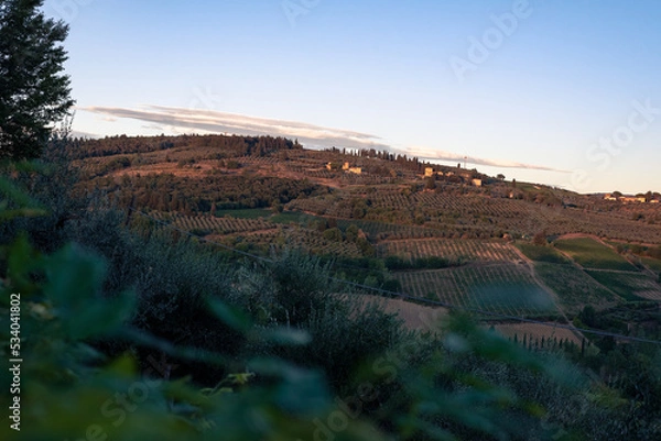 Fototapeta Poggibonsi