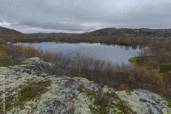Fototapeta Tundra with hills and trees with yellow leaves.