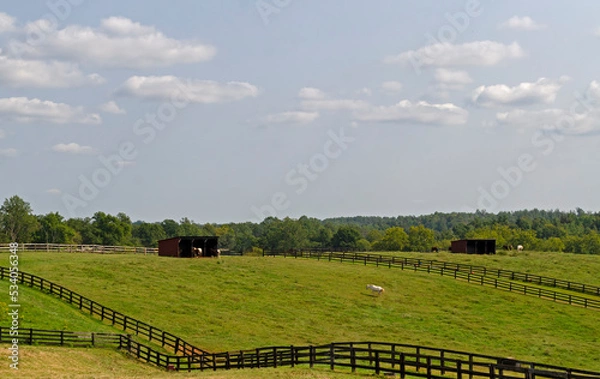 Fototapeta Soybean farm