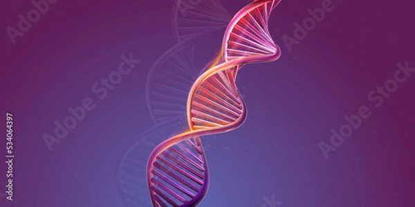 Obraz DNA double helix structure on a purple background.