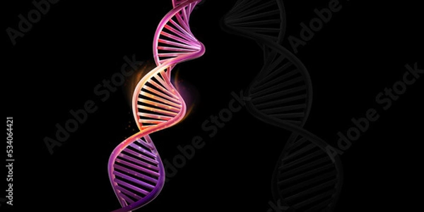 Fototapeta DNA double helix model on a black background.
