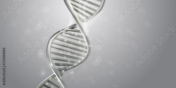 Obraz DNA double helix in light gray colors.