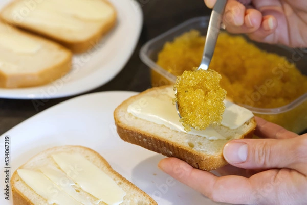 Obraz bread spread with salted pike caviar. close up