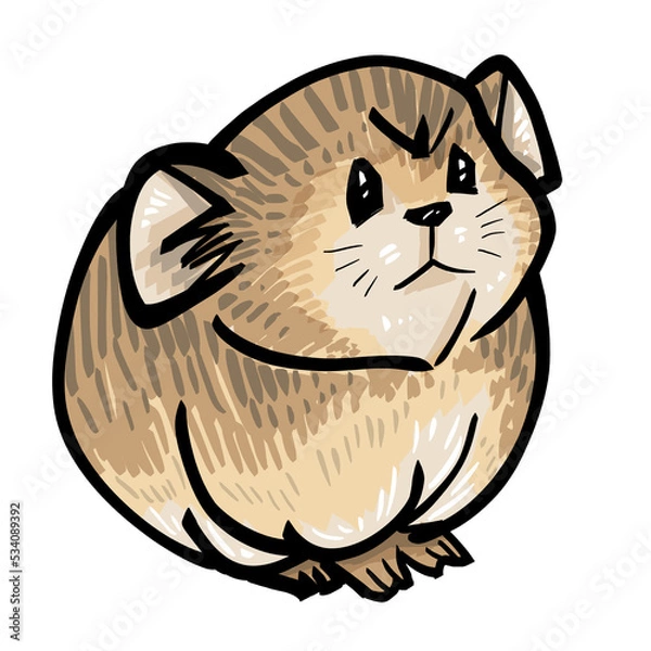 Fototapeta hamster