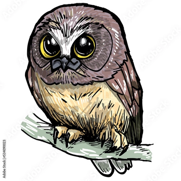 Fototapeta owl on a branch