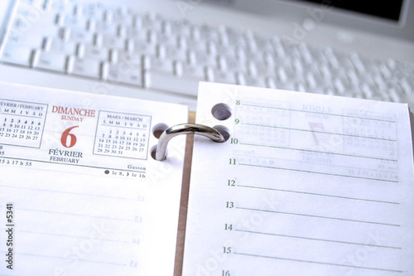 Fototapeta organisation