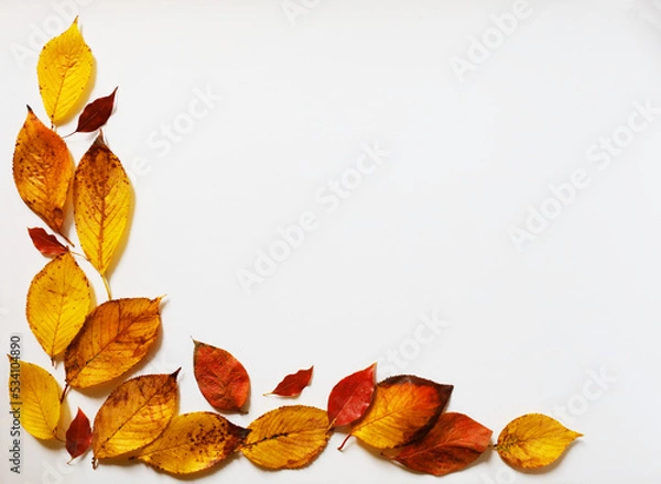 Obraz autumn leaves frame