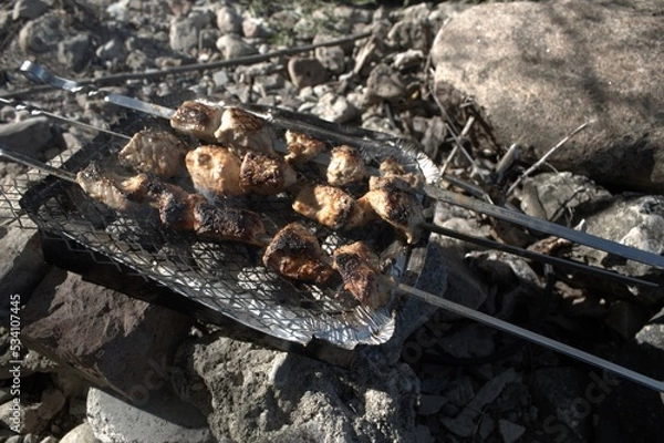 Obraz meat on the grill