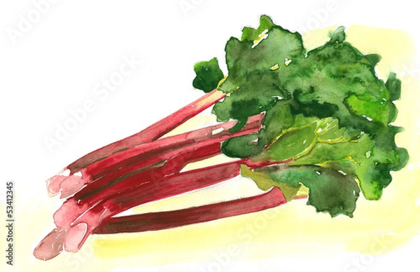 Obraz Rhubarb