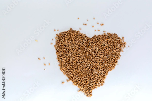 Obraz Grains wheat heart shape. White background.