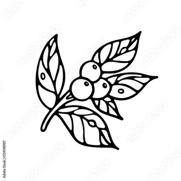 Fototapeta Branche with Leaves and Berries outline doodle Vector illustration. Isolated on white background. Botany Design for Coloring book