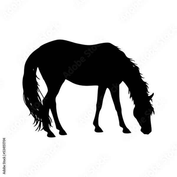 Obraz Horse Illustration