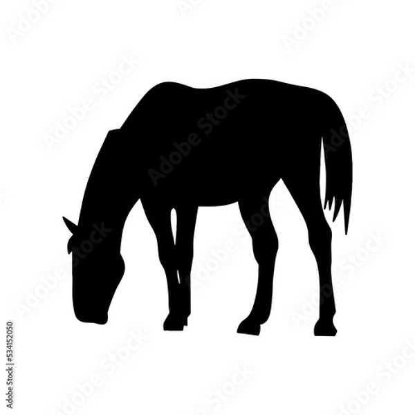 Obraz Horse Illustration