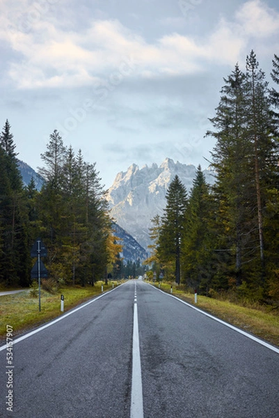 Obraz long road with trees and mountains