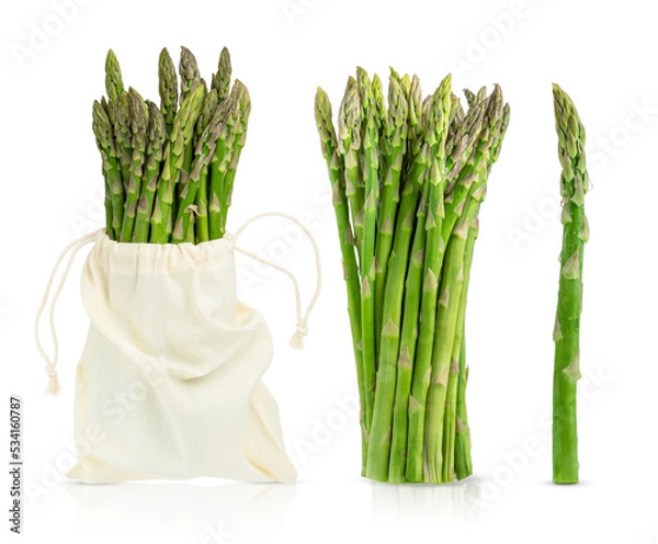 Obraz Collection of green raw asparagus isolated on white background.