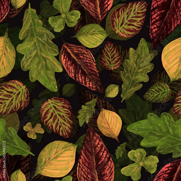 Fototapeta Watercolor pattern autumn foliage, wild forest on a dark background for your seamless design