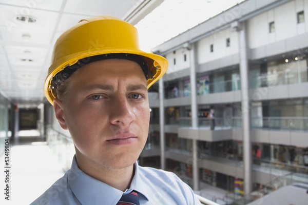 Obraz successful engineer