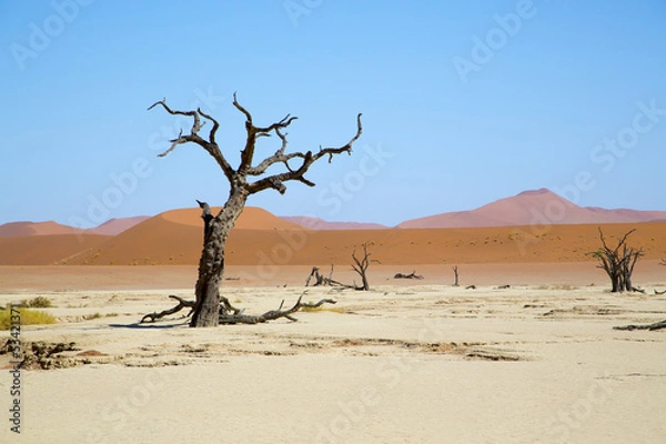 Obraz Deadvlei, Sossusvlei