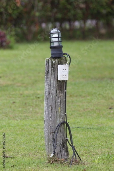 Obraz a lamp on a tree stump, a power socket on a tree stump
