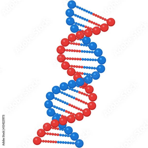 Fototapeta Dna genetic vector, helix gene molecule structure